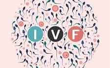 IVF-“From Dreams to Reality: How Sarah and Her Husband Found  Success in Egypt”