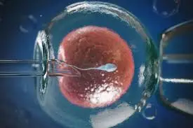 Double Your Joy: The Circle Care’s IVF Miracle in Egypt