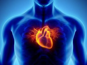 Coronary Arteryn