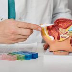 A professional urologist explaining a medical condition using an anatomical model of the male reproductive and urinary system, placed on a clinical desk with a pill organizer.