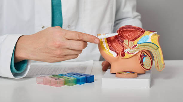 What Does a Urologist Do? Symptoms, Conditions & When to Visit