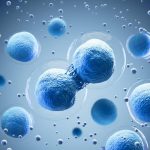 لقطة مجهرية ثلاثية الأبعاد باللون الأزرق توضح انقسام الخلايا الجذعية (Stem Cells) وتجددها داخل المختبر لاستخدامها في العلاجات الطبية وتجميل البشرة