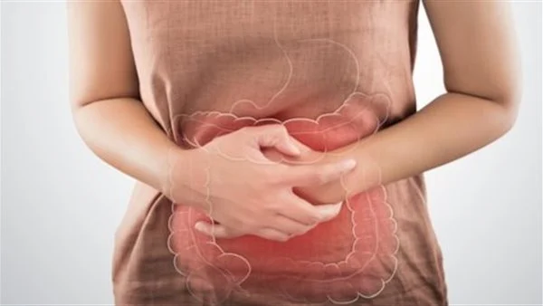 صحة الأمعاء والميكروبيوم: لماذا هي مهمة؟
